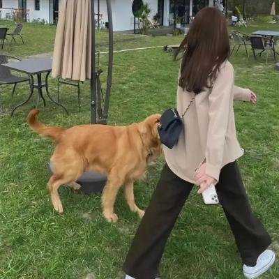 分手倒计时
